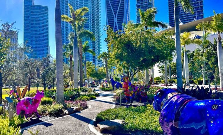 Caminería de perros y gatos fue inaugurada en parque de Miami