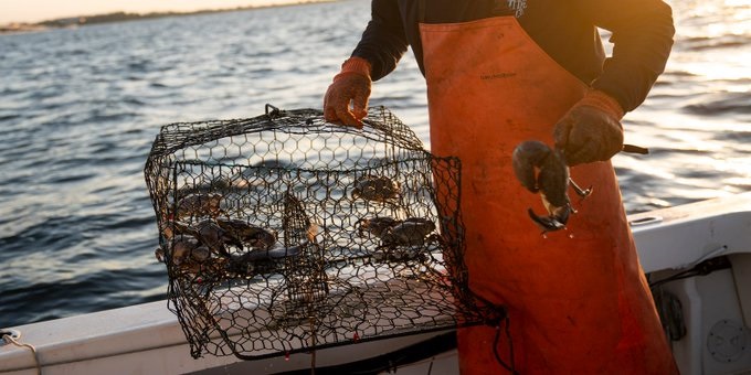 Este viernes comienza  en Miami la temporada de pesca del cangrejo de piedra
