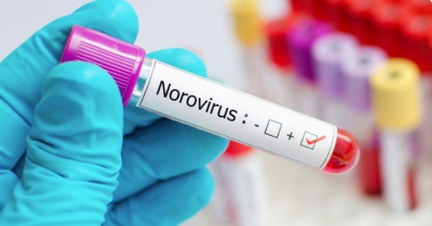¡Alerta! Aumento de casos por norovirus en EEUU preocupa al país