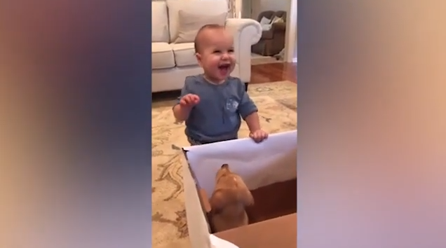 La increíble reacción de un bebé cuando le regalan un perrito +Vídeo