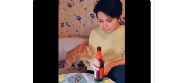 Vídeo viral: Gata le impide a su dueña tomar cerveza