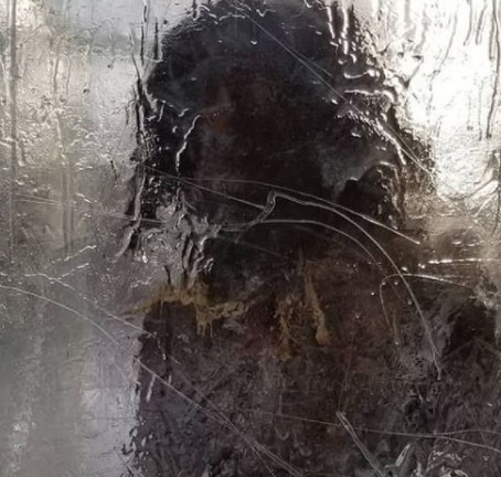 Cavernícola congelado aparece en un parque de Minneapolis +Fotos