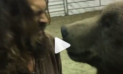 Lo que hizo Jason Momoa al quedar al frente de un gran oso…¿Te atreverías?