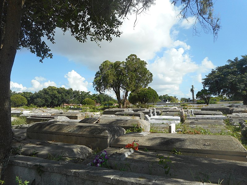 Fundación de Miami ayuda a personas sin dinero a enterrar dignamente a sus familiares