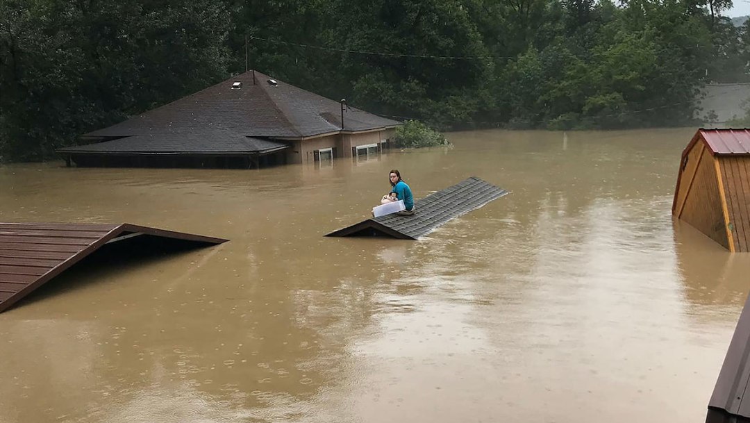 Una joven y su perro se salvaron de las inundaciones en Kentucky tras nadar a un techo cercano
