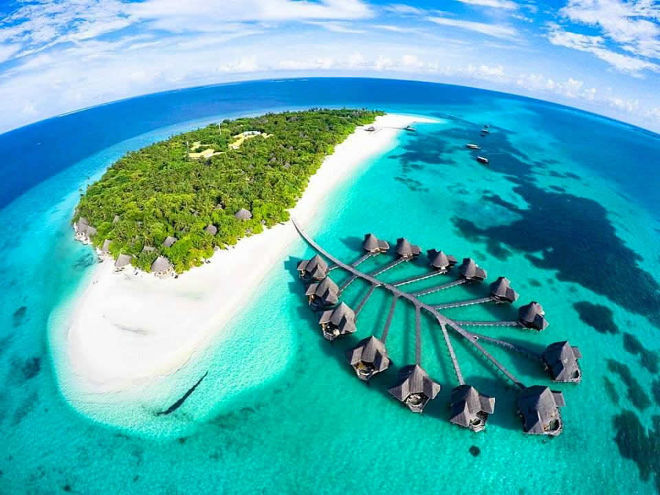 Por cuidar tortugas vive en hotel paradisíaco en las Islas Maldivas