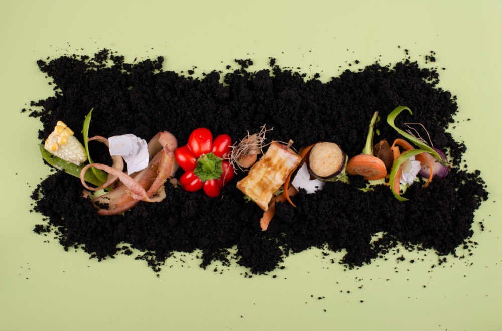 Miami-Dade invita a los residentes a aprender a fabricar compost casero