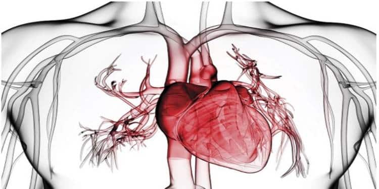 Advierten sobre nuevas causantes de enfermedades del corazón