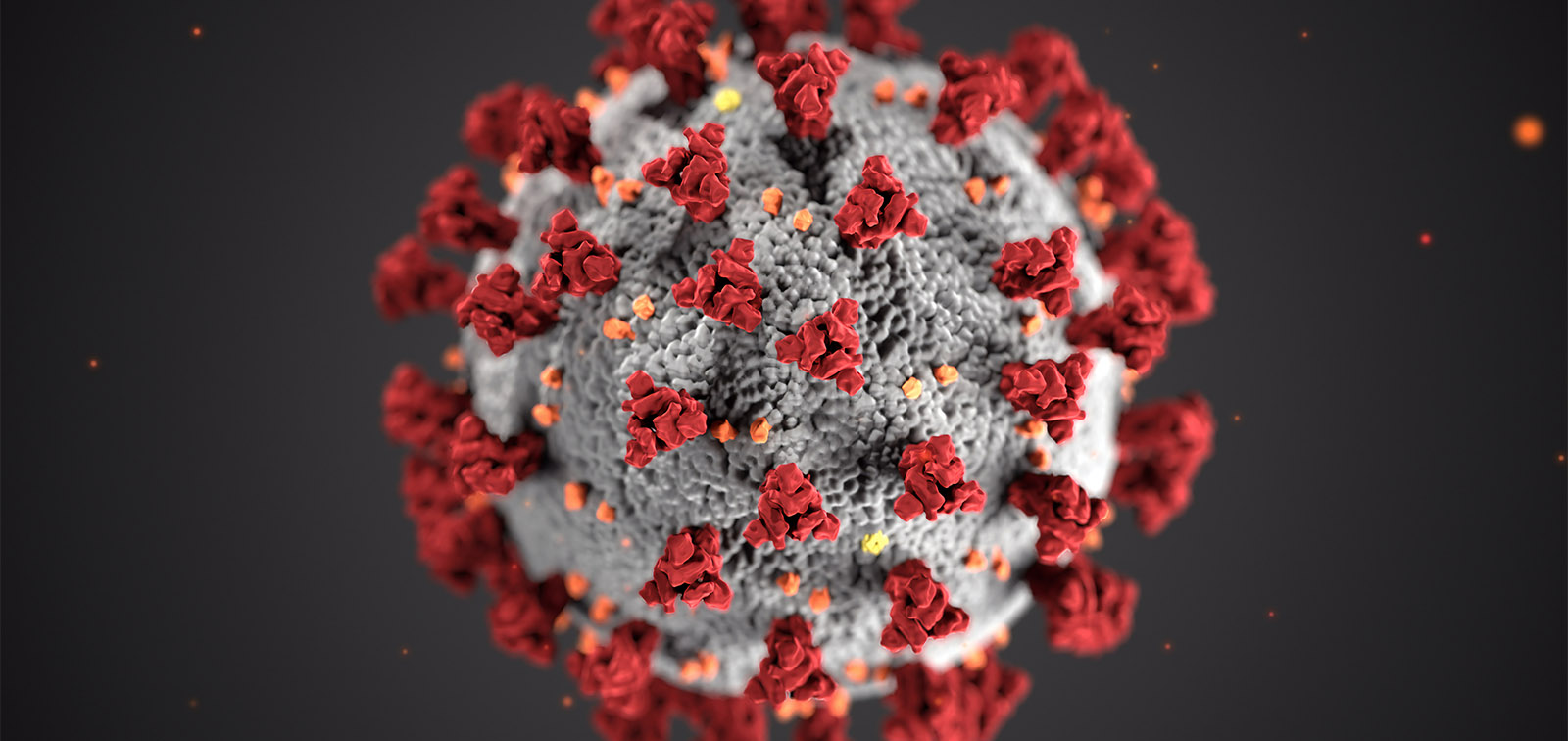 Investigadores analizan el origen del SARS-CoV-2 y otros coronavirus