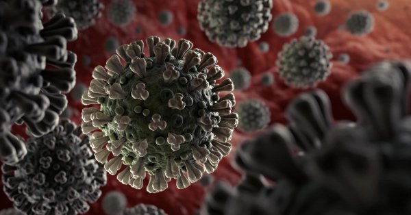 OMS alerta que el COVID-19 es diez veces más mortífero que la gripe A(H1N1)