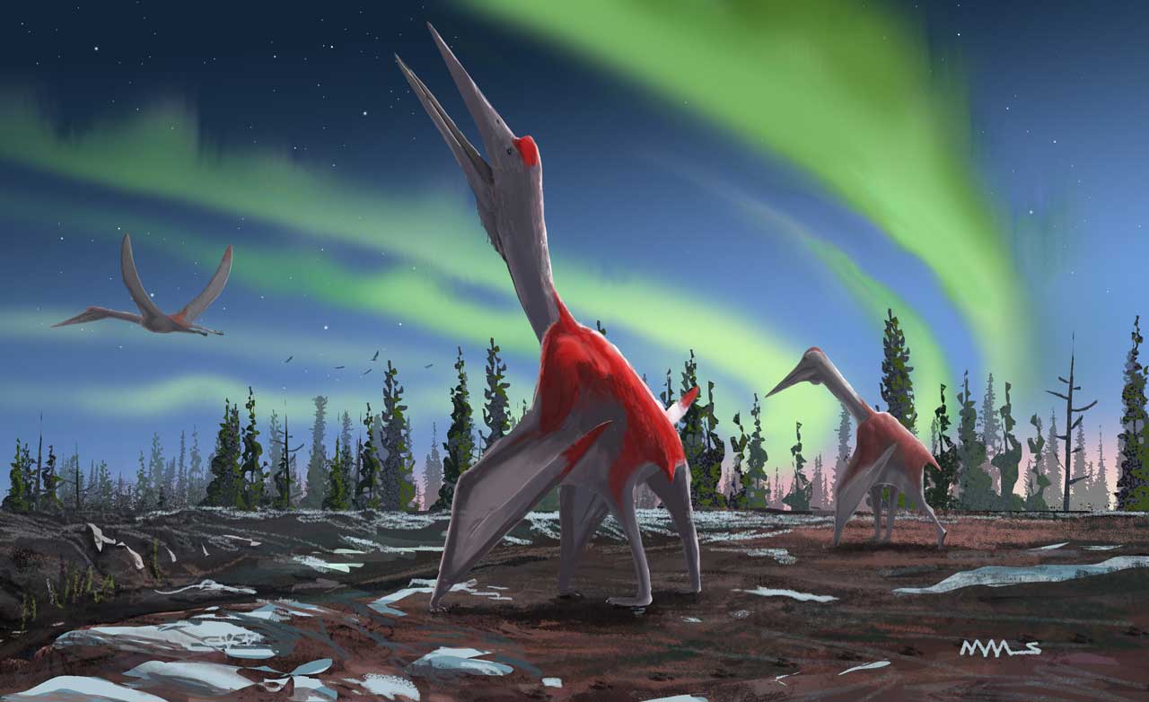 Conoce el nuevo dinosaurio llamado “Dragón congelado del norte”