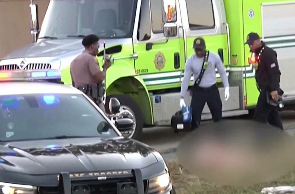 Tragedia en Miami-Dade: Identifican cadáver de mujer hallado a un costado de la I-95