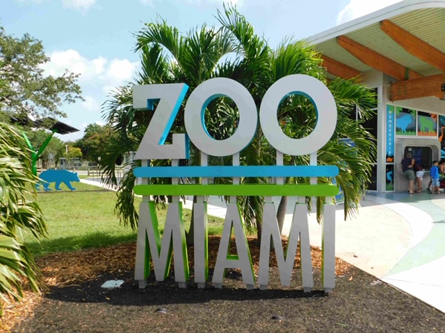 Cinco razones para visitar el Zoo Miami