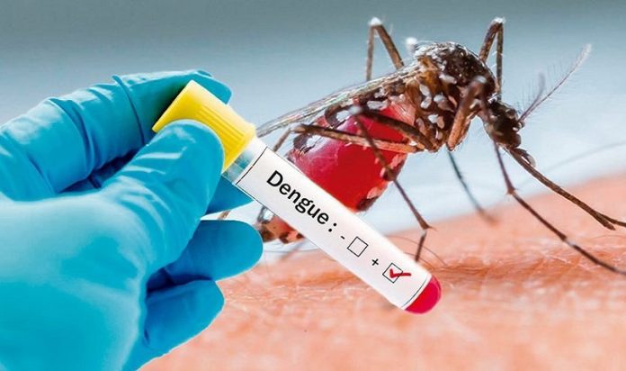 ¡Atención! Reportaron primer caso de dengue de transmisión local en los Cayos de Florida