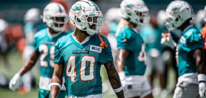 Entrenamientos de Miami Dolphins han generado una gran expectativa