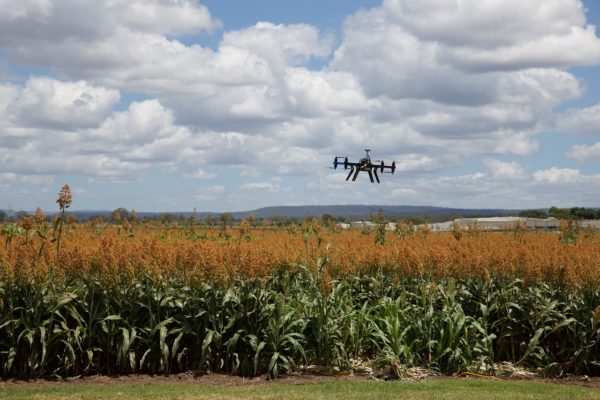 Israel desarrolla un dron para recoger las frutas