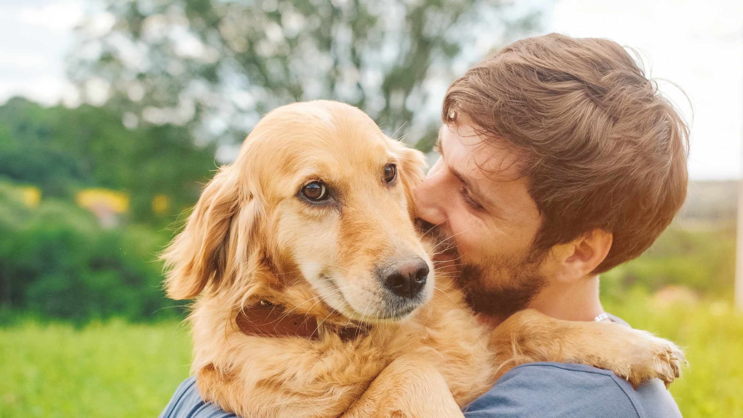 Los humanos empatizan más con los perros