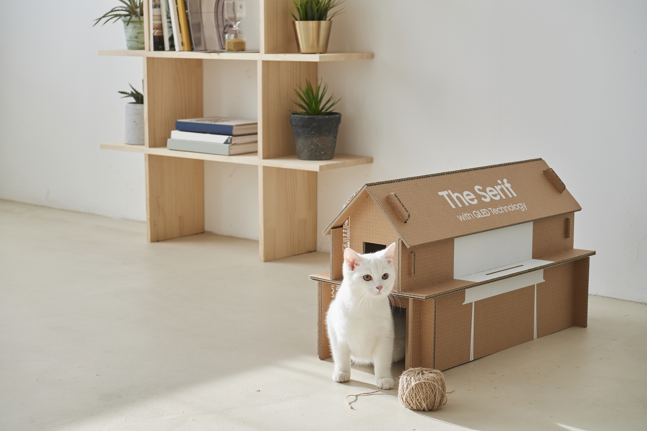 ¡Embalaje ecológico! Cajas de televisores se transforman en casas para gatos y muebles para el hogar