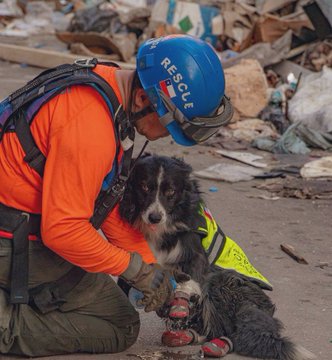 Conozca al perro que detectó signos de vida un mes después de las explosiones de Beirut