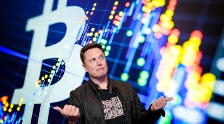 Elon Musk apoya festival de Dogecoin antes de la conferencia de Bitcoin en Miami