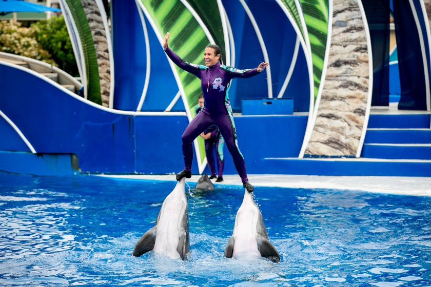 SeaWorld prohibió montar delfines en sus espectáculos
