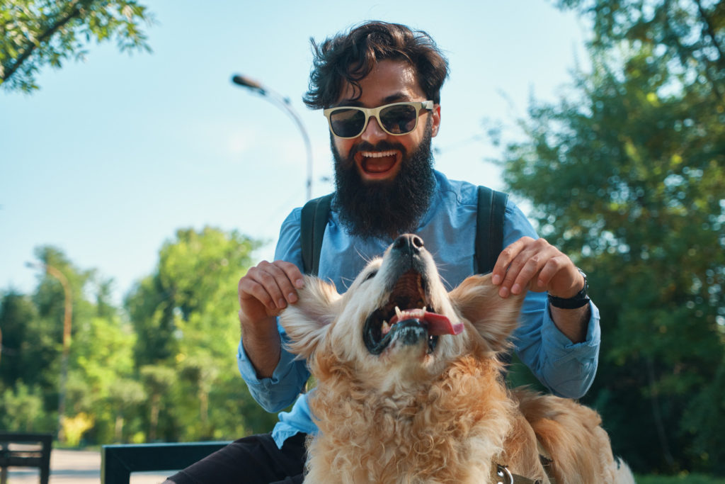 perros