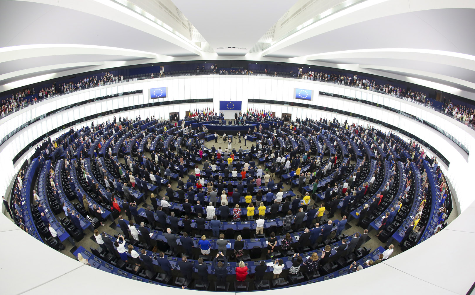Eurocámara aprobó resolución a favor de la liberación inmediata del líder opositor José Daniel Ferrer