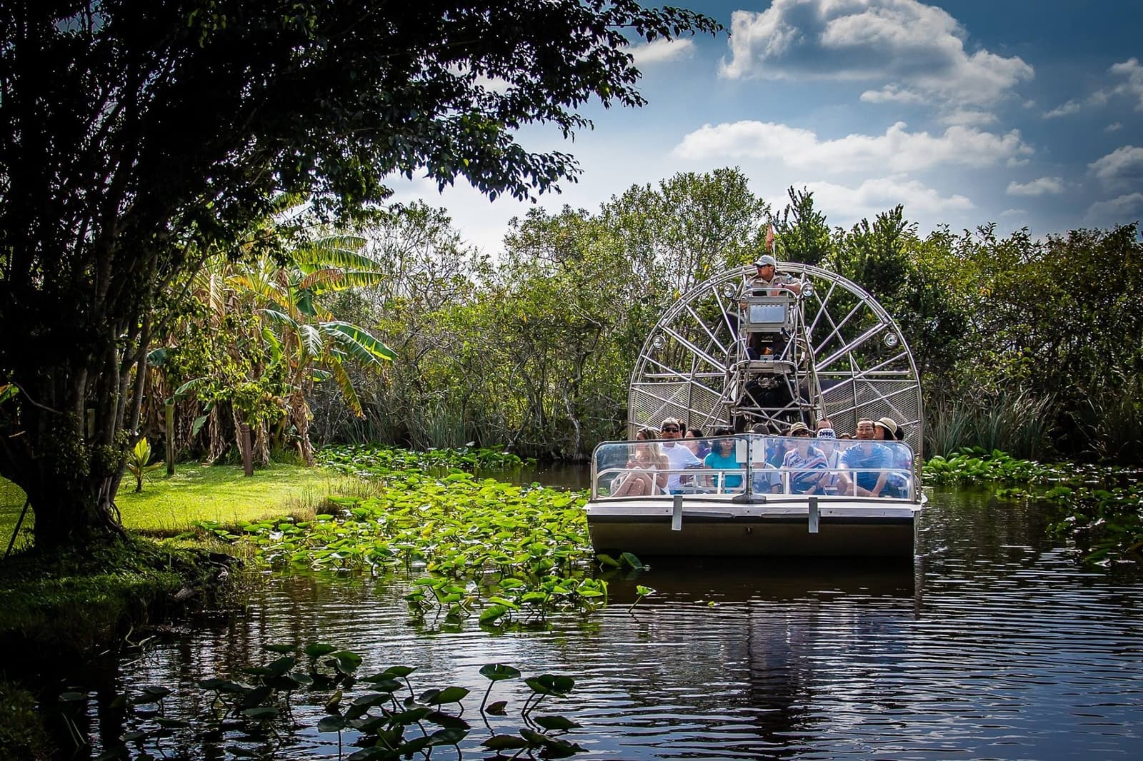 Everglades