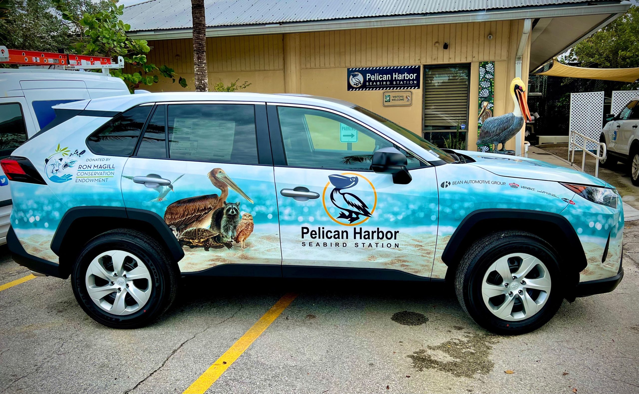 Pelican Harbor obtiene nueva ambulancia para rescate de vida silvestre