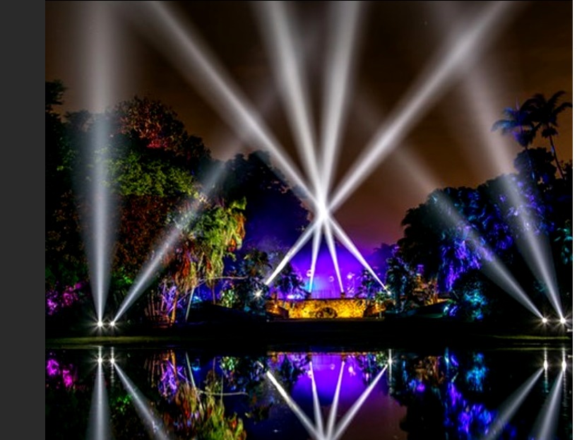 El espectáculo de luces del Fairchild Garden regresa a Miami