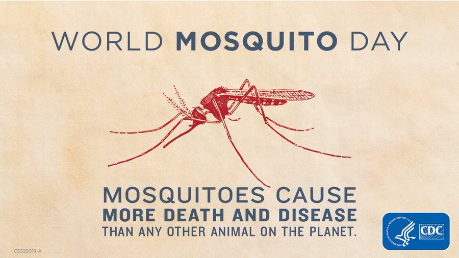 Día mundial del mosquito: Aprende a protegerte y evita la propagación de enfermedades