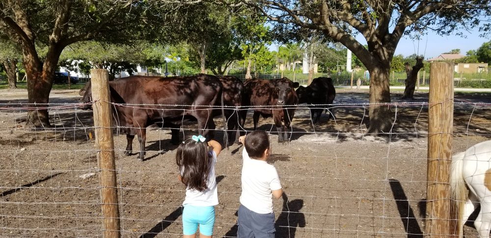 Disfruta una nueva experiencia en Family Farm en Florida