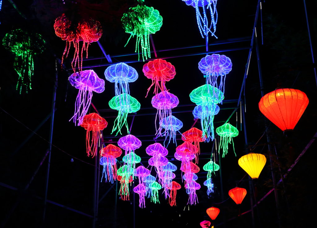 Luminosa