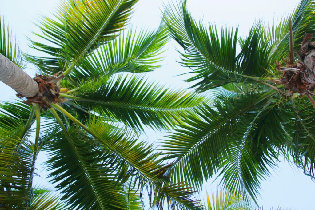 Florida
