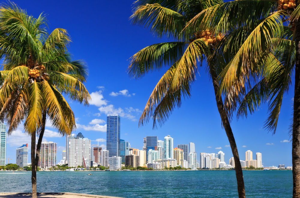 ¡Sube la temperatura! Miami y el sur de Florida se preparan para un clima más cálido