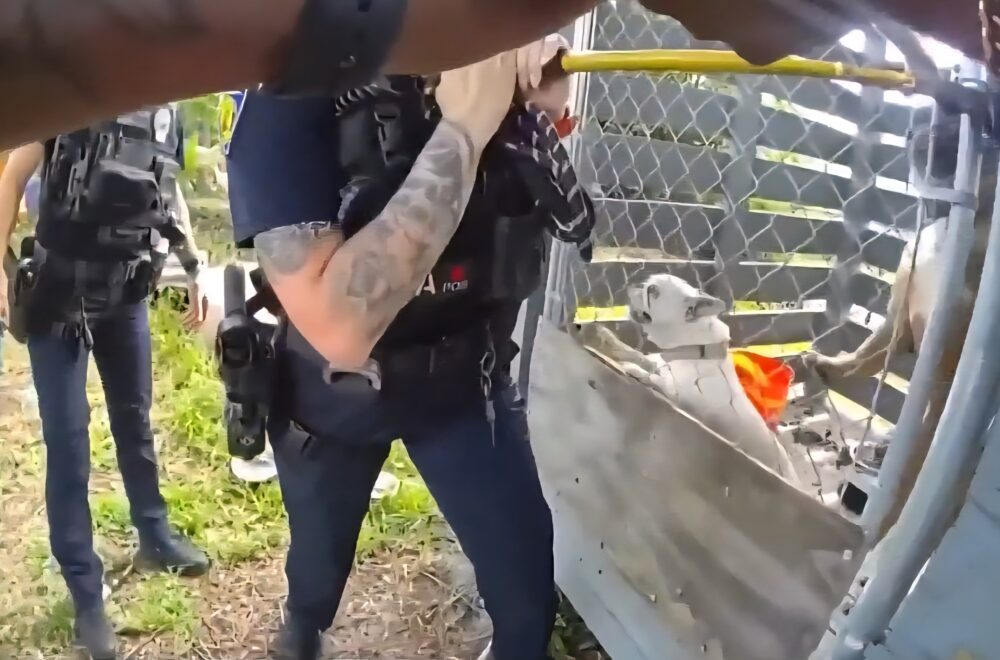Fort Lauderdale presenta unidad policial especializada contra el maltrato animal