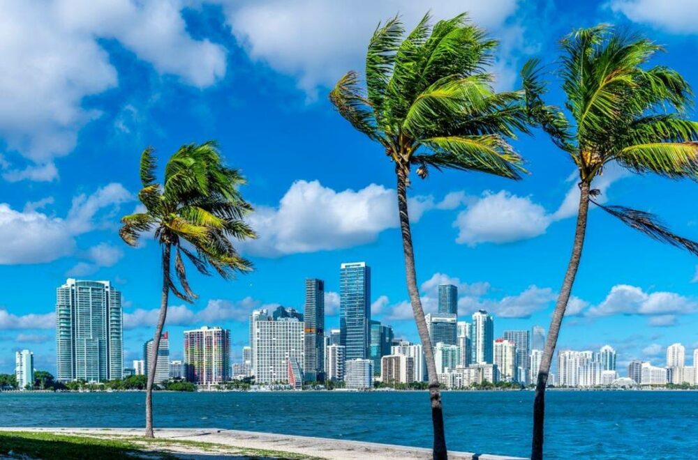 Primer frente frío de la temporada trae un respiro al sur de Florida