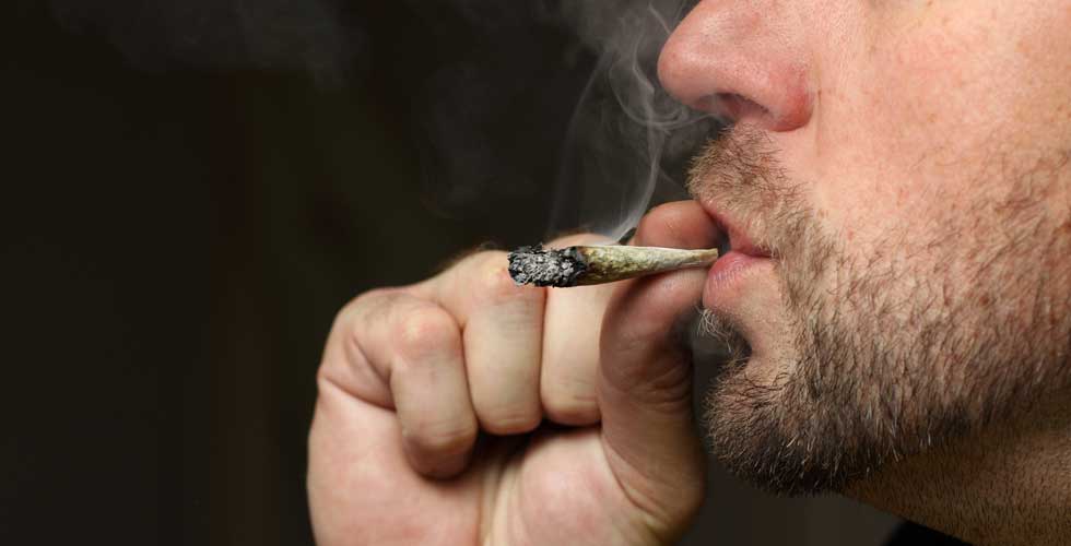 ¡Sin egoísmos! Hombre invita a policía de Florida a darle una probadita a su planta de marihuana