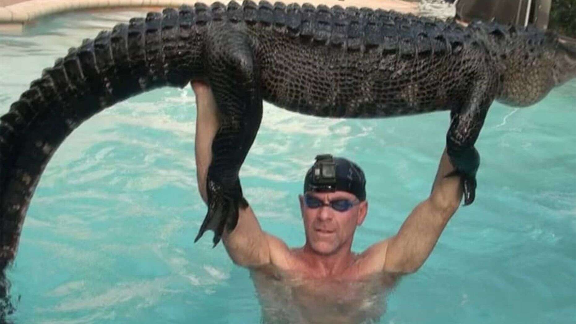 Hombre de Florida rescata un caimán de 9 pies de largo en una piscina