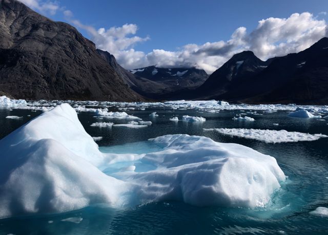 ¡Alerta! Hielo derretido de un día en Groenlandia podría cubrir Florida en 2 pulgadas de agua