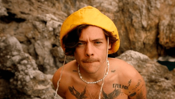Harry Styles cancela conciertos por graves problemas de salud