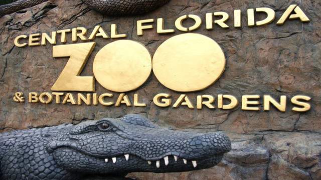 El zoológico de Florida Central trabaja para combatir pérdidas financieras de $1,5 millones por COVID-19