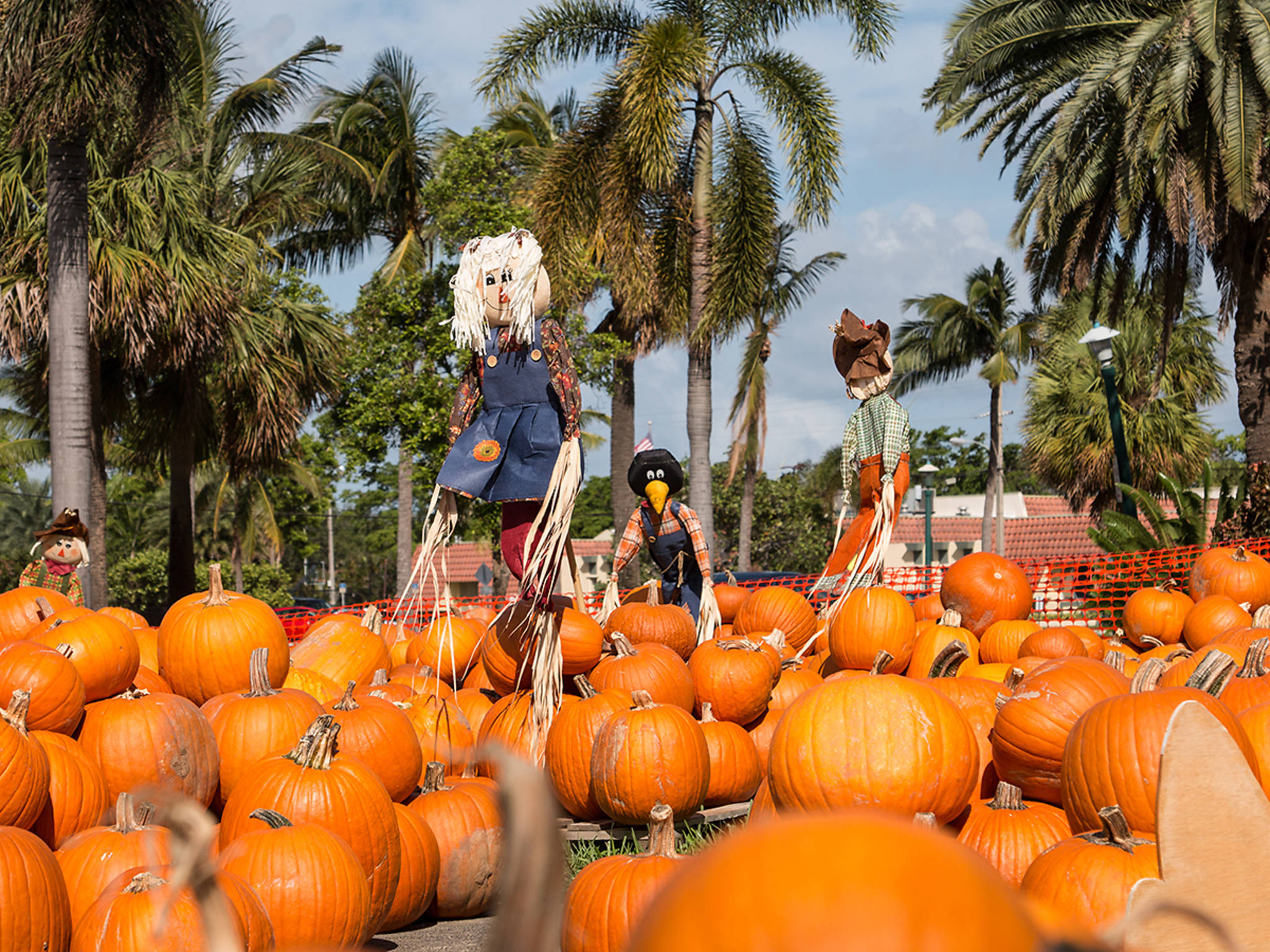 ¿Por qué Miami es el cuarto mejor destino para disfrutar Halloween?
