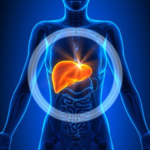 ¿Qué es el hígado graso y cómo lo puedo combatir “económicamente”?