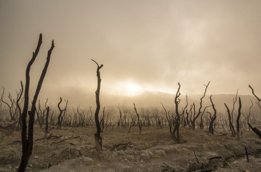 ¿El fin de los humanos? Científicos advierten sobre “supercontinente inhabitable”