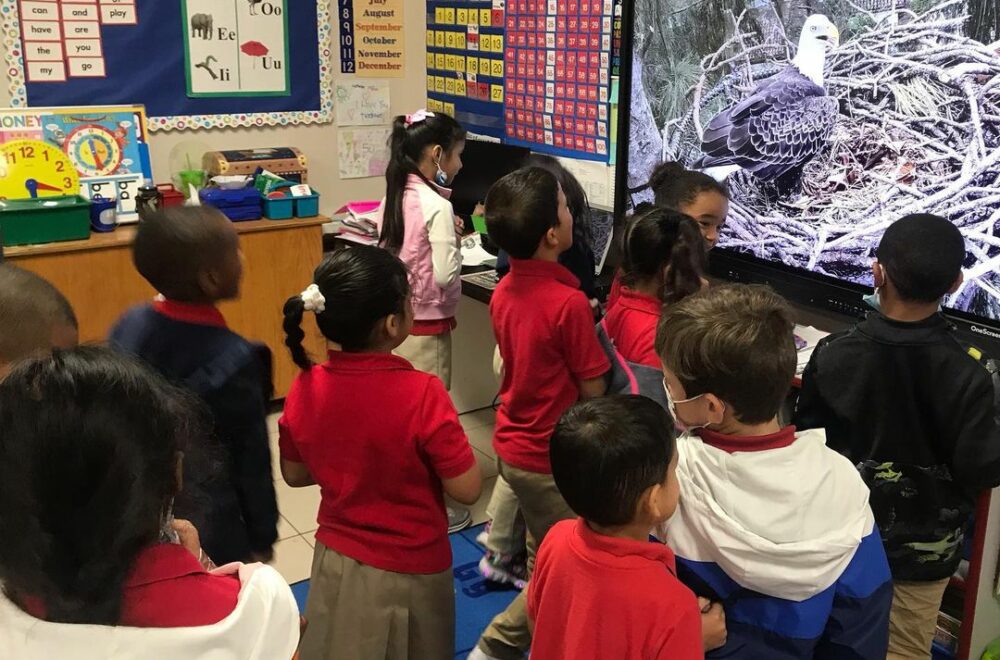 Cámara de vigilancia expone abuso infantil en guardería de Miami: asistente arrestada