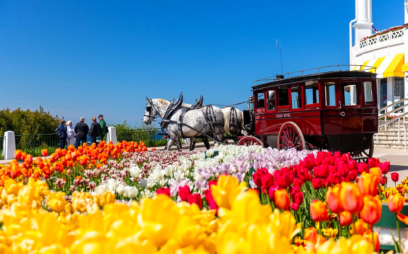 Viaja en el tiempo en Mackinac: La isla mágica donde los caballos dominan las calles