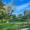 Jardín Botánico en Miami en riesgo de cerrar: Así puedes ayudar a evitarlo
