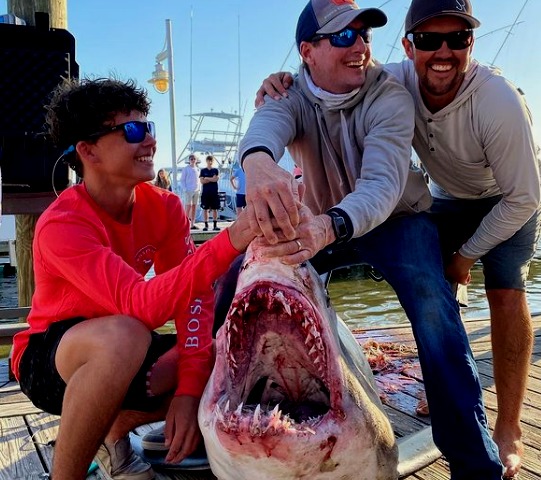 Joven pesca gigantesco tiburón de 450 libras en Florida