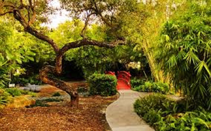 Conoce los jardines botánicos más atractivos de Miami